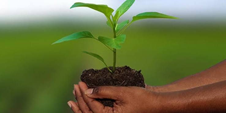 Assurance Agricole